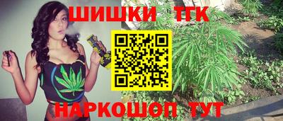индика Братск