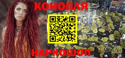 индика Братск