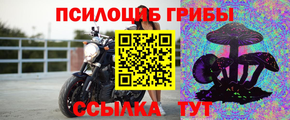 Галлюциногенные грибы Cubensis  Вход с VPN  Выкса 